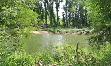 Sant Julià de Ramis - Riu Ter